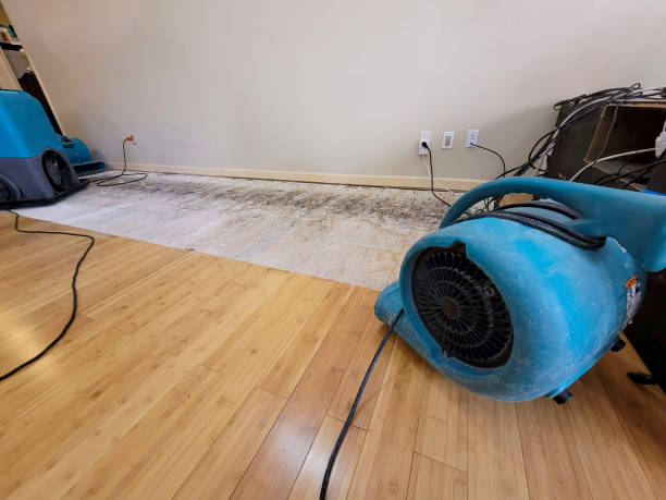 Reliable Basement Flood Cleanup contractor in Somerset, PA by Hirex Water Damage