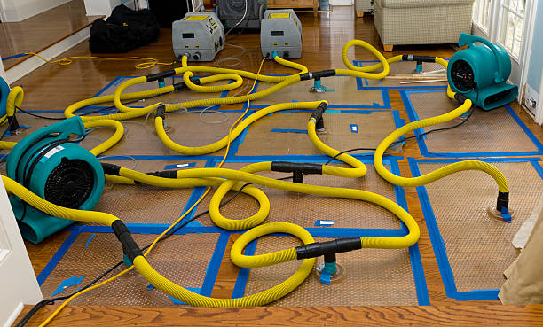 Professional Basement Flood Cleanup technician working in Somerset, PA